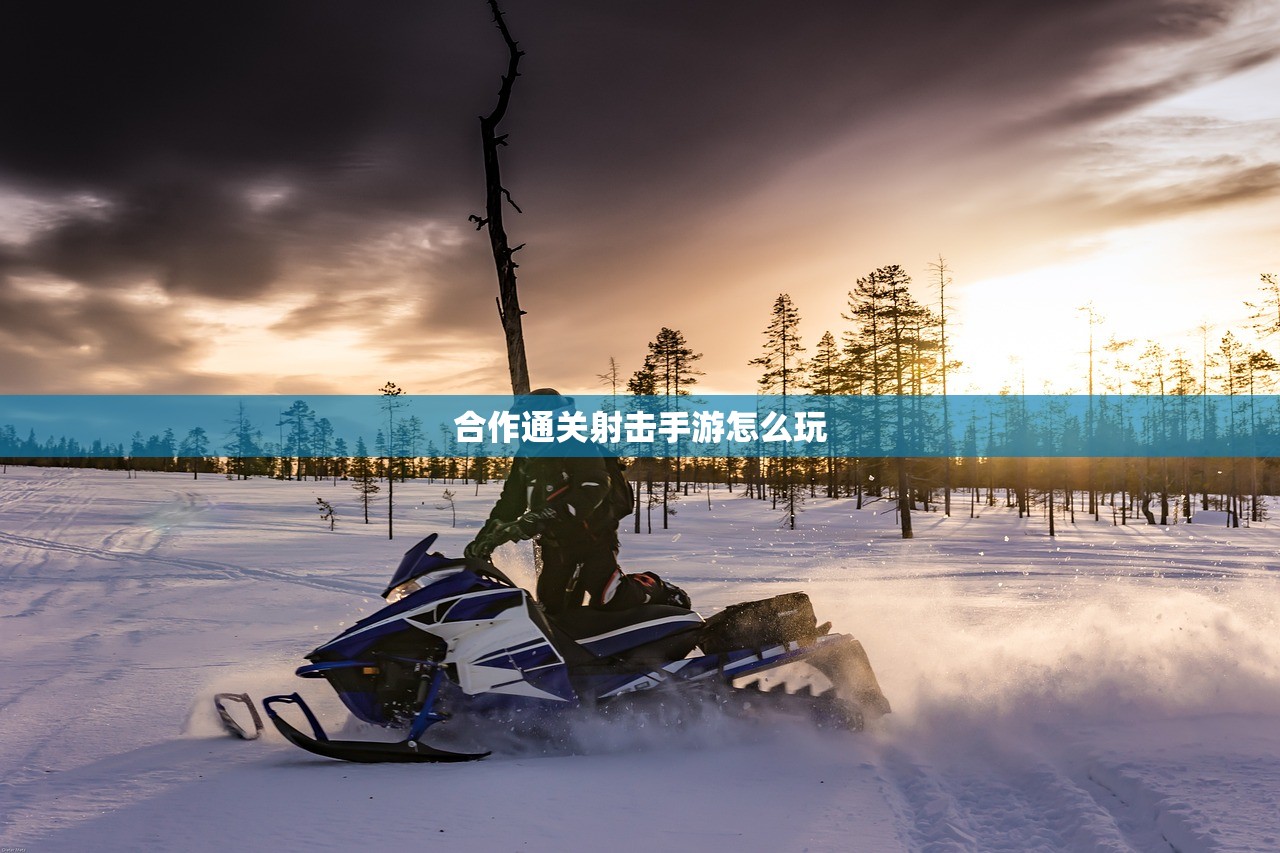 合作通关射击手游怎么玩
