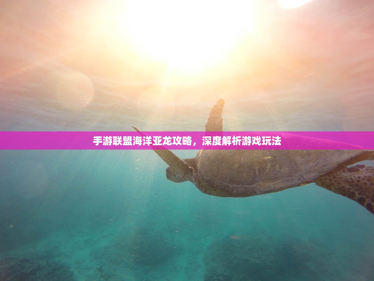 云顶手游卡萨丁攻略，玩转星际传奇