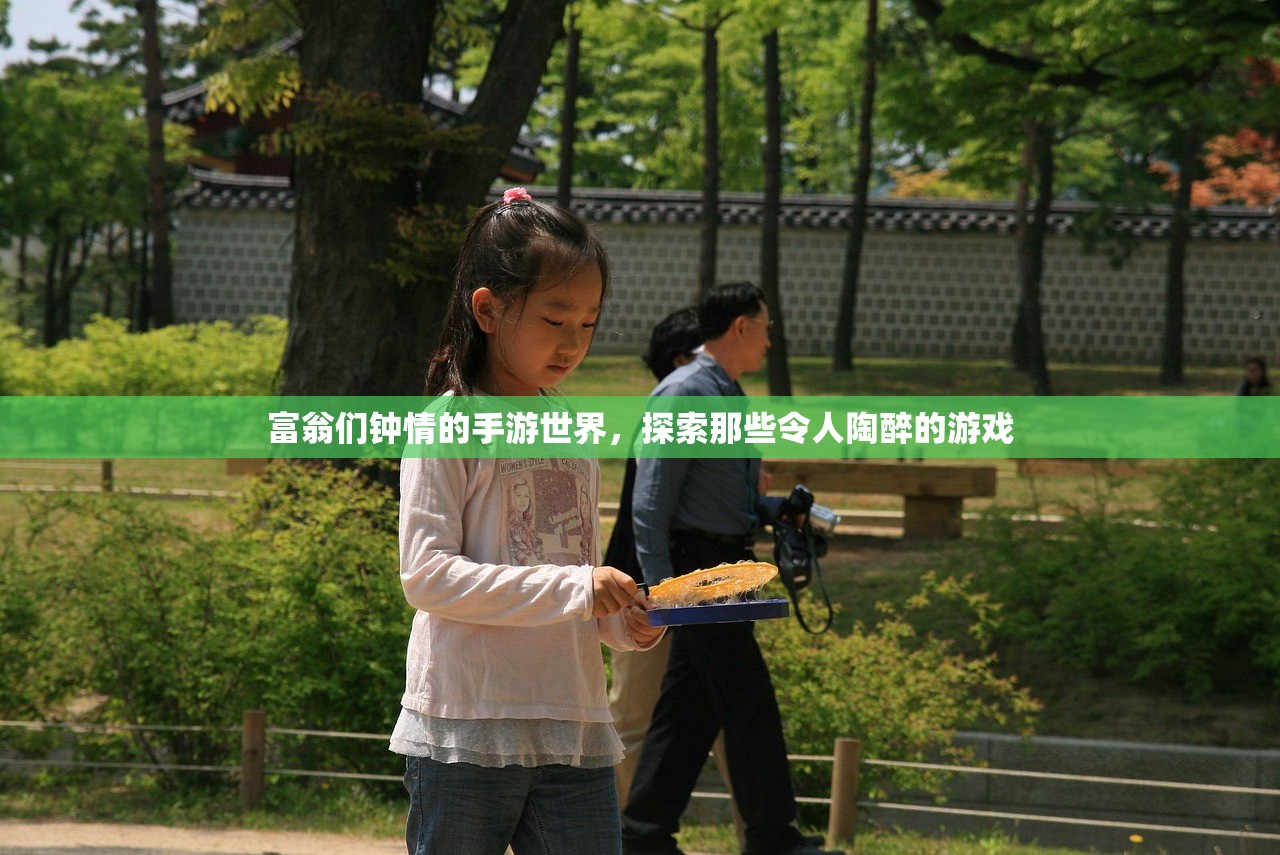 云顶手游突然无法游玩，探索问题根源与解决方案