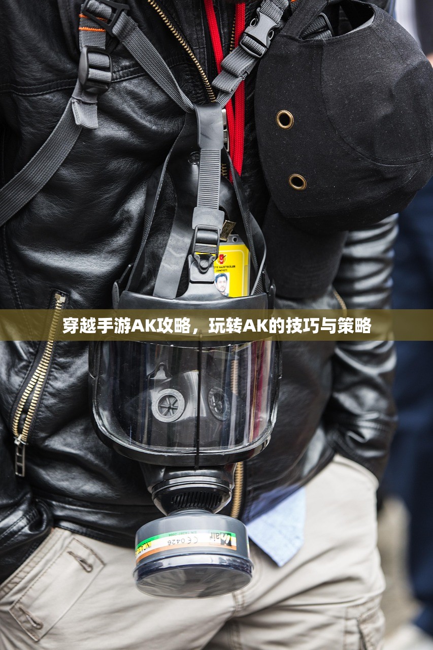如何玩转美服手游的端游版