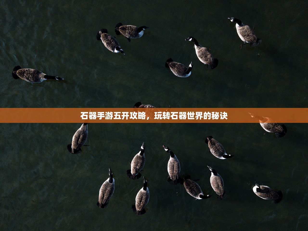 石器手游五开攻略，玩转石器世界的秘诀