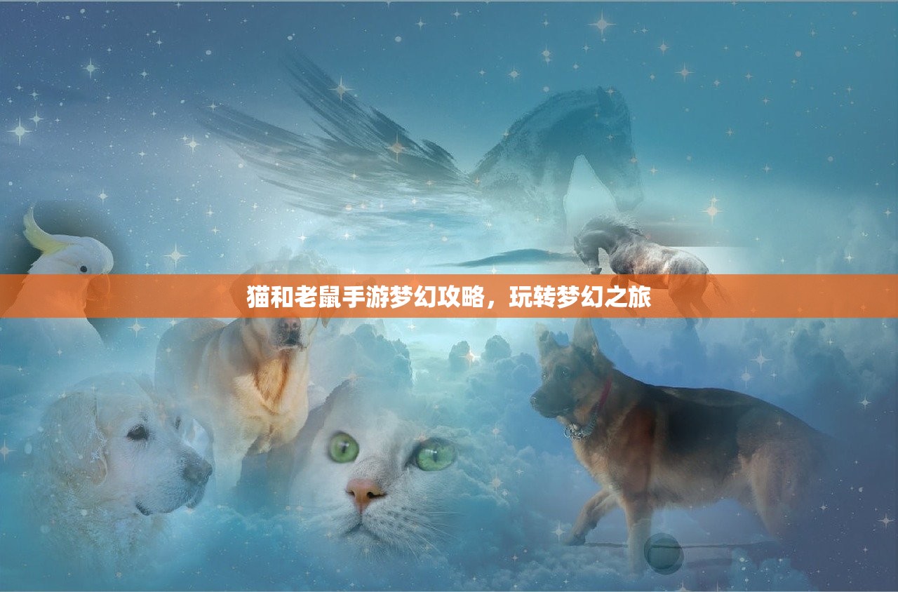 猫和老鼠手游梦幻攻略，玩转梦幻之旅