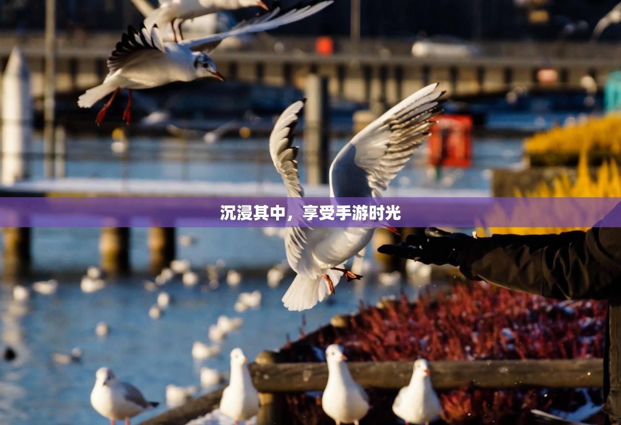 沉浸其中，享受手游时光