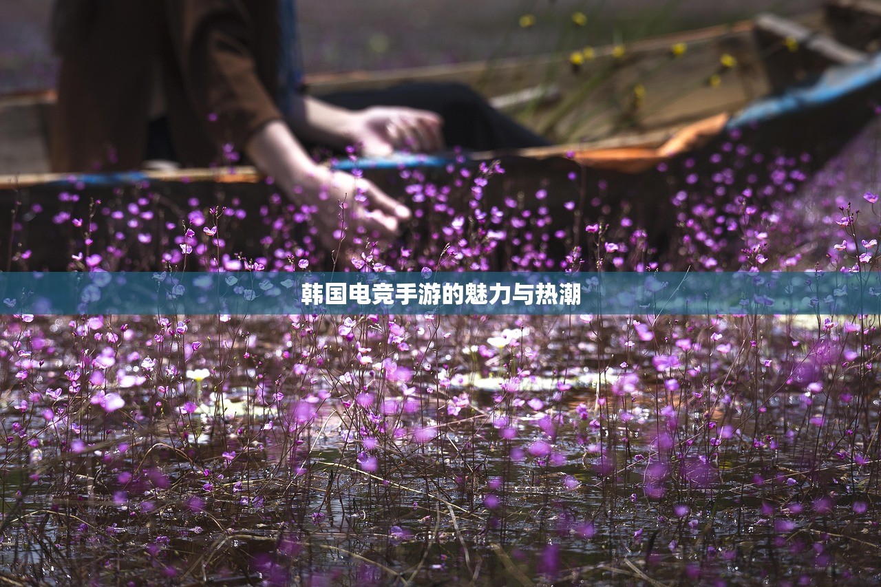 韩国电竞手游的魅力与热潮