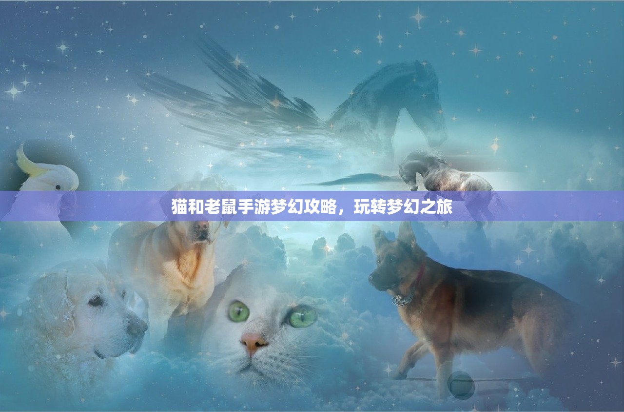 小极品手游合击版攻略，玩转游戏，成为顶尖高手