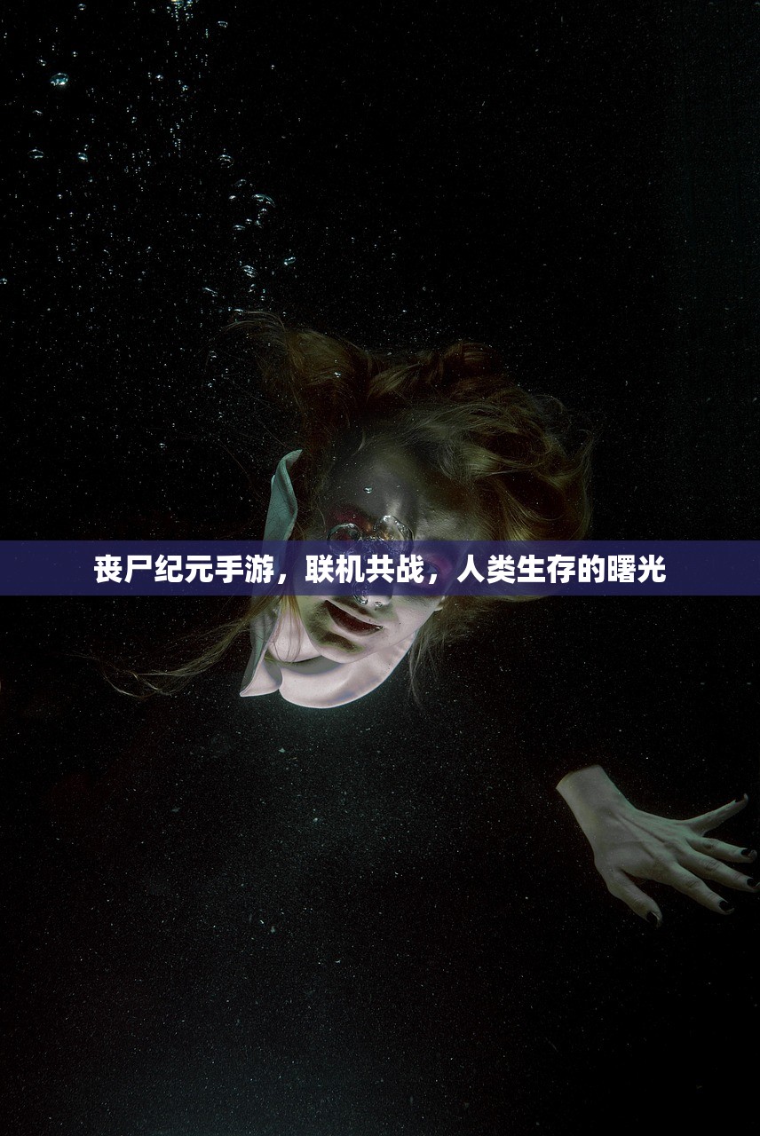 联机狂欢，网络手游的魅力与演变