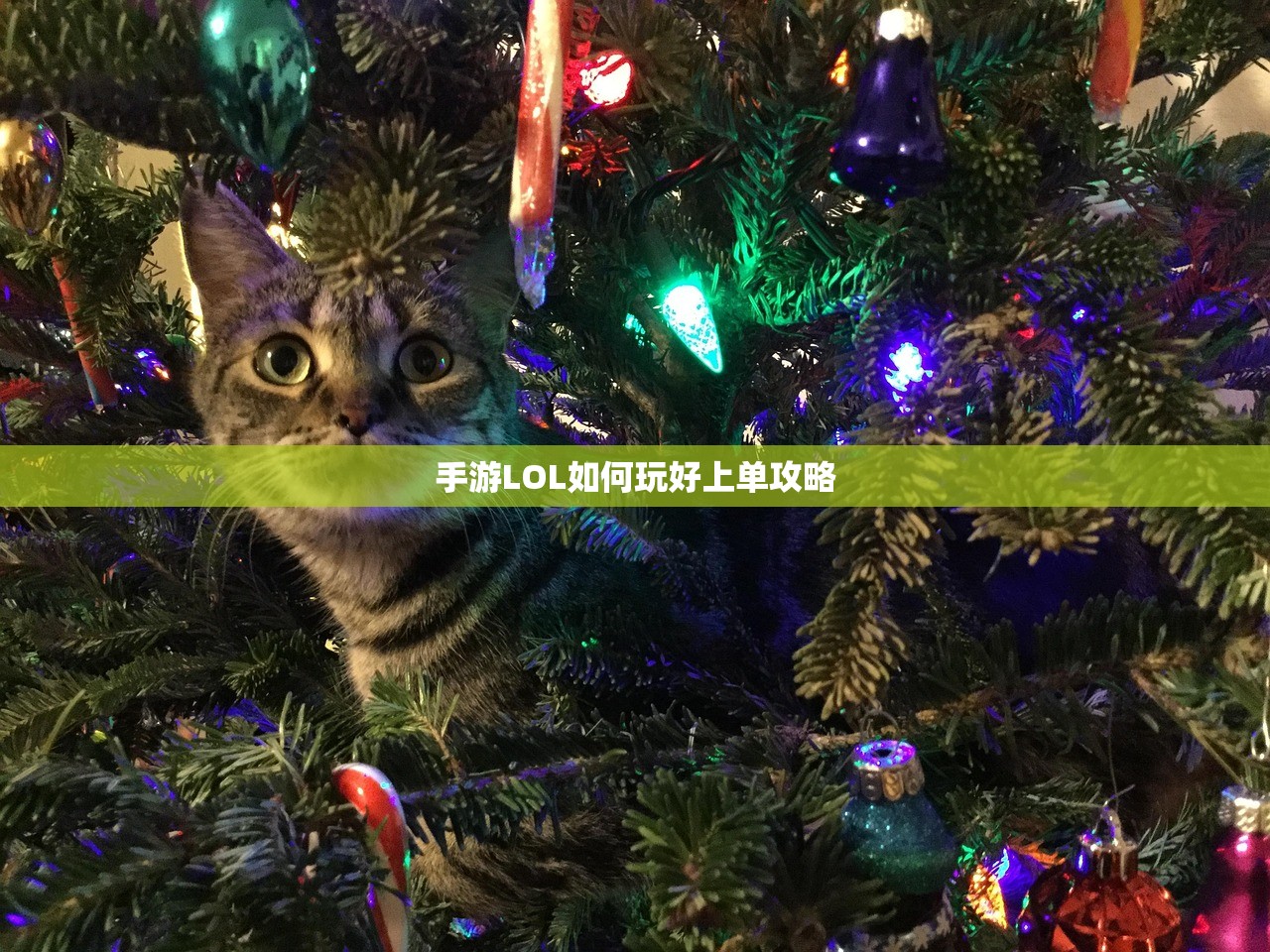 手游LOL如何玩好上单攻略