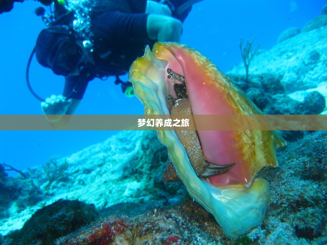 哈利波特手游删号重玩，勇气与新生