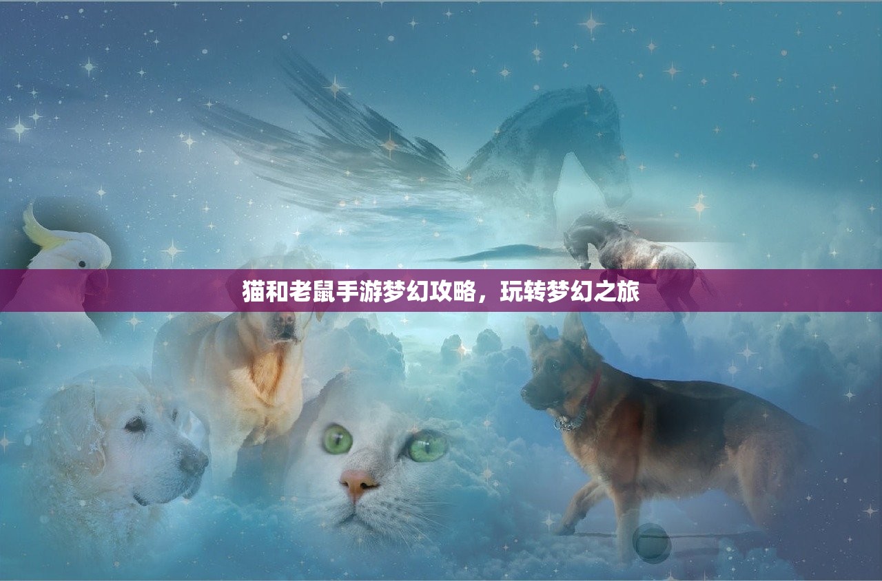 猫和老鼠手游梦幻攻略，玩转梦幻之旅
