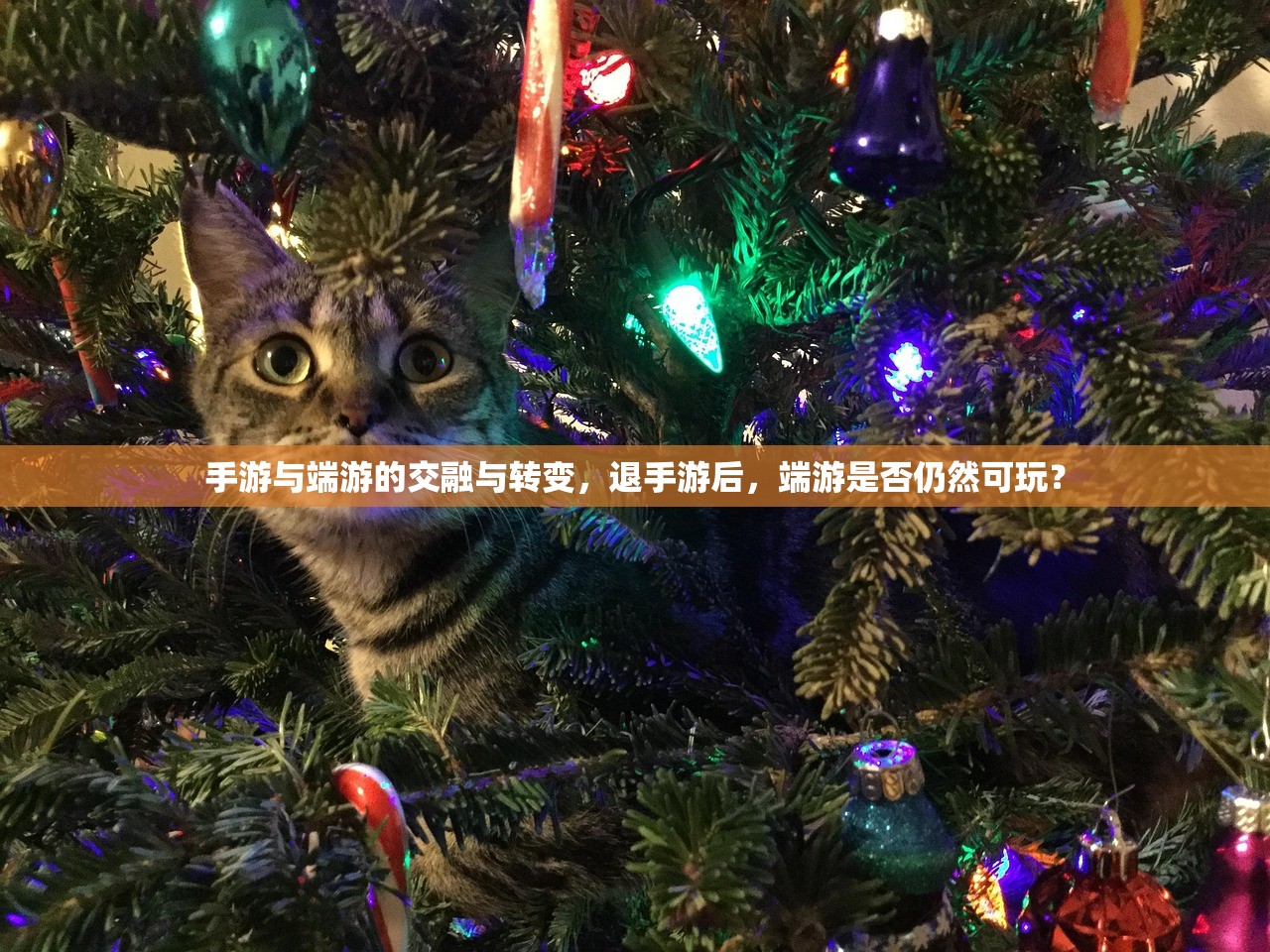 手游与端游的交融与转变，退手游后，端游是否仍然可玩？