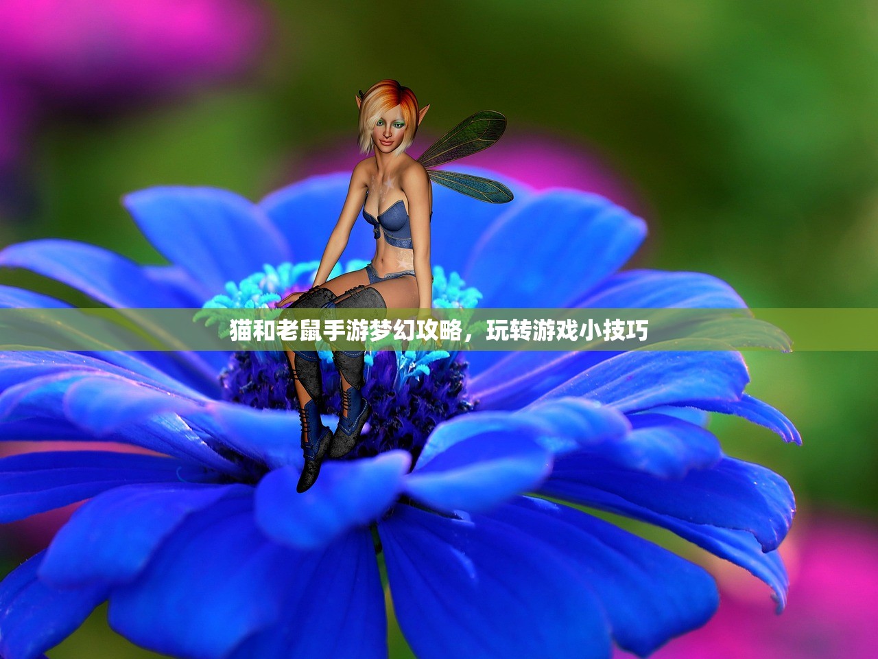 猫和老鼠手游梦幻攻略，玩转游戏小技巧