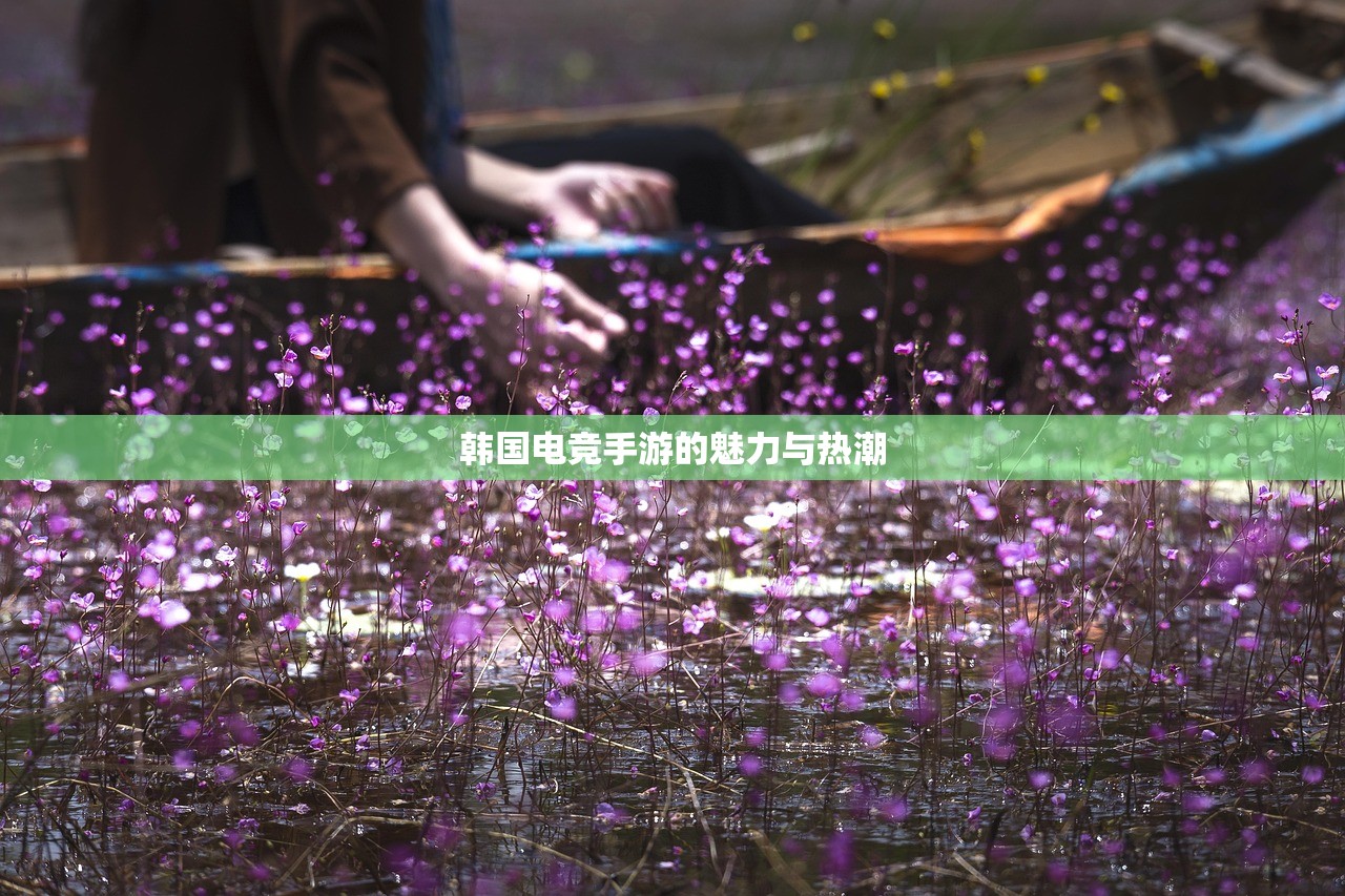 韩国电竞手游的魅力与热潮