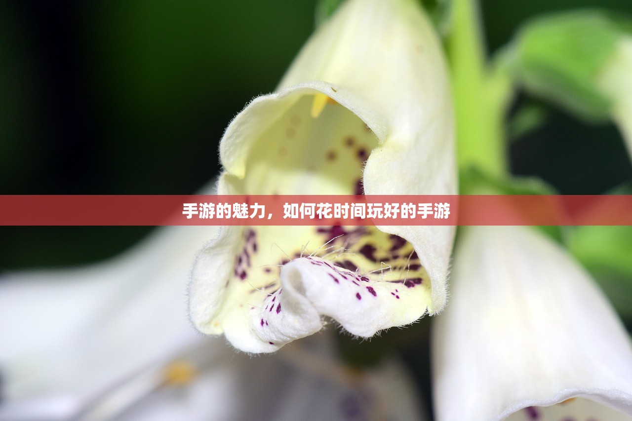 手游的魅力，如何花时间玩好的手游