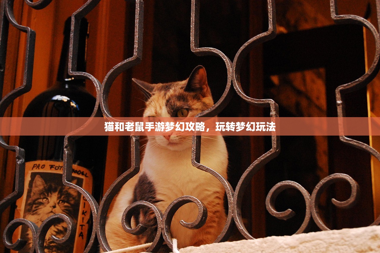 猫和老鼠手游梦幻攻略，玩转梦幻玩法
