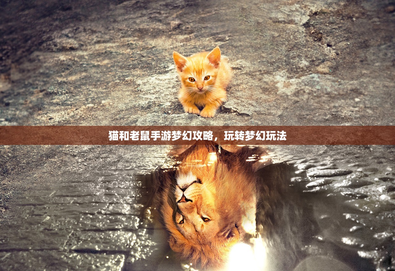 猫和老鼠手游梦幻攻略，玩转梦幻玩法