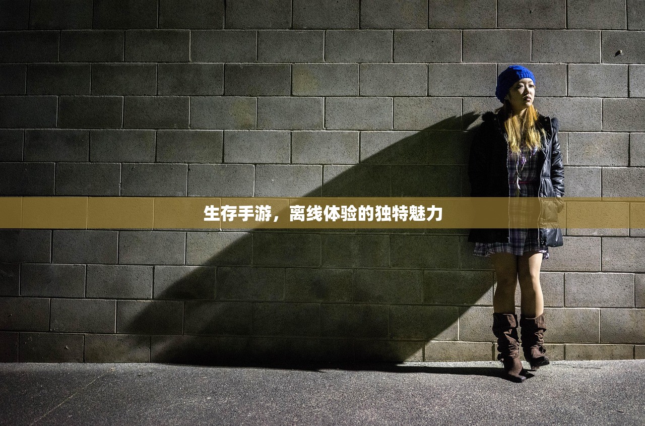 生存手游，离线体验的独特魅力