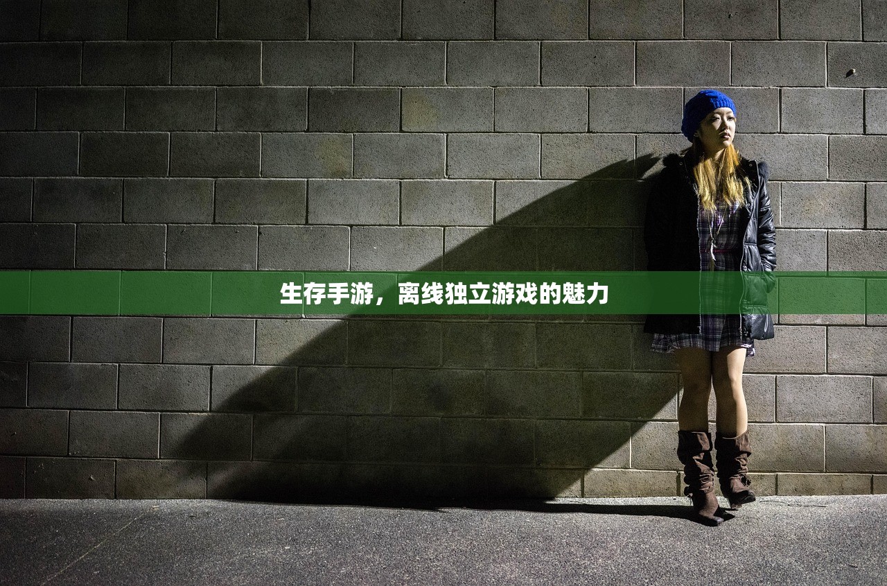 生存手游，离线独立游戏的魅力