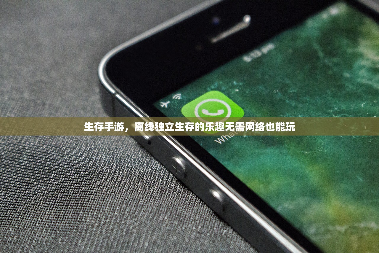 生存手游，离线独立生存的乐趣无需网络也能玩