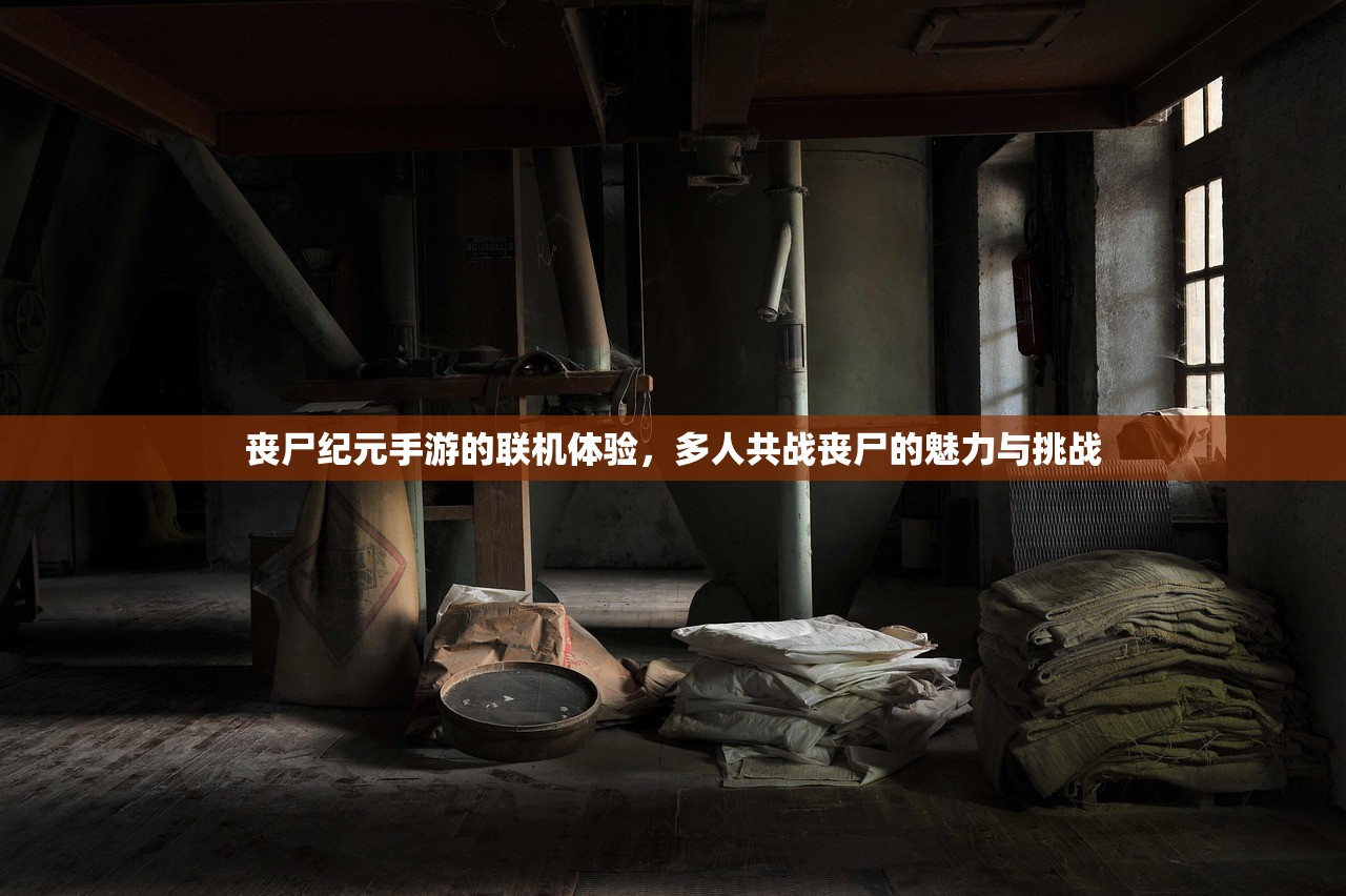 丧尸纪元手游的联机体验，多人共战丧尸的魅力与挑战
