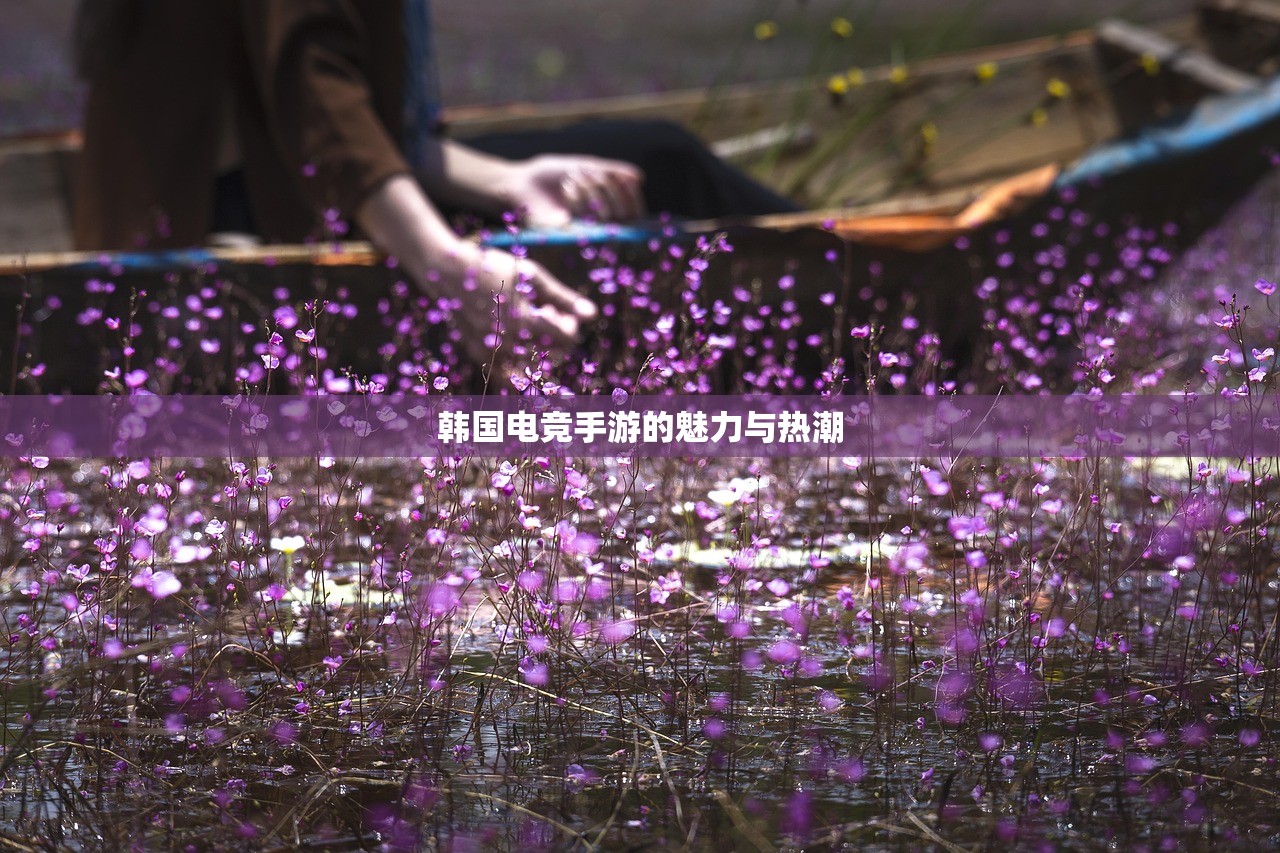 韩国电竞手游的魅力与热潮