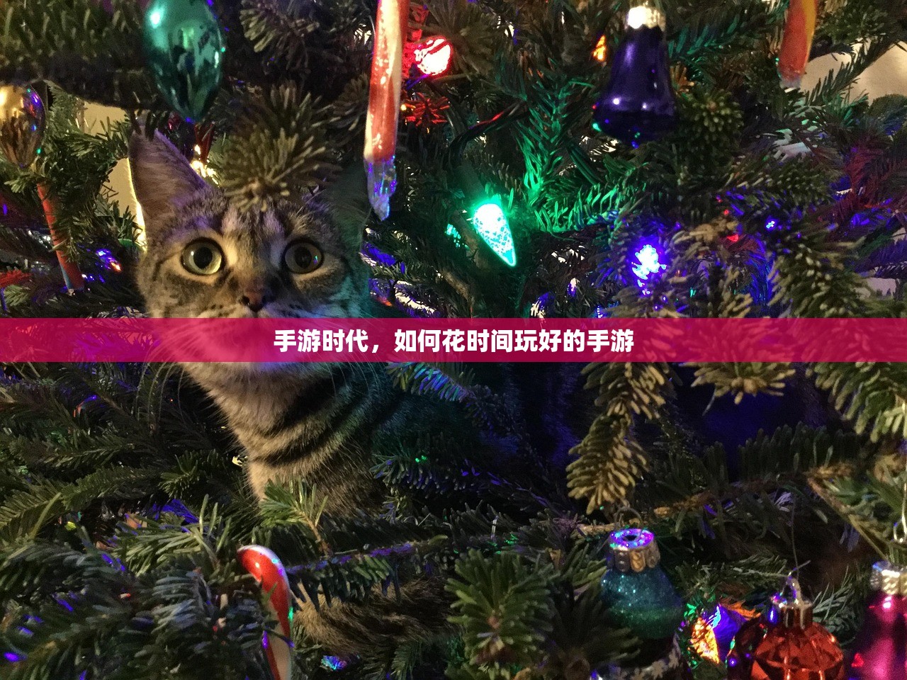 新手友好型棋牌手游推荐