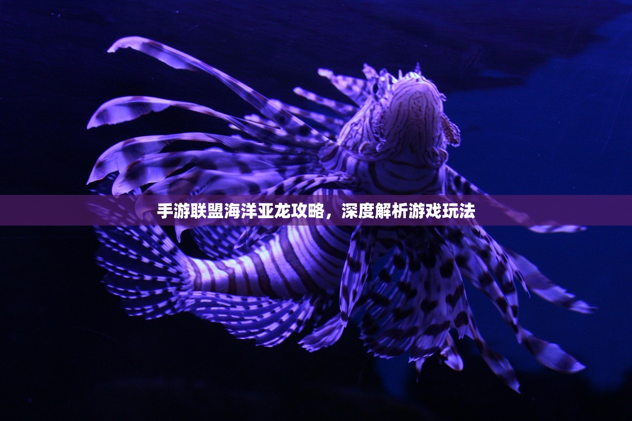 手游联盟海洋亚龙攻略，深度解析游戏玩法