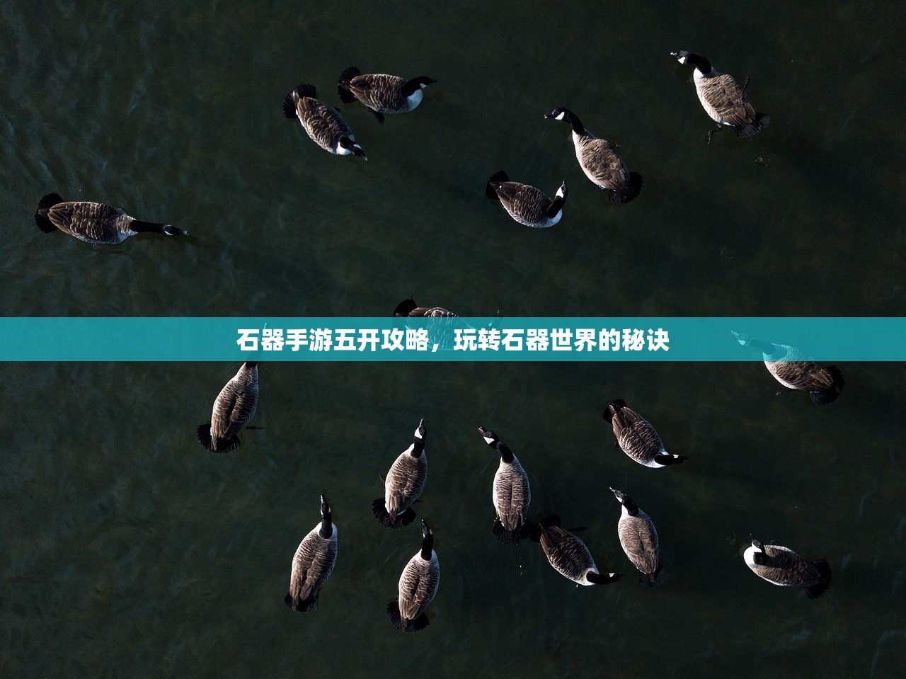 石器手游五开攻略，玩转石器世界的秘诀