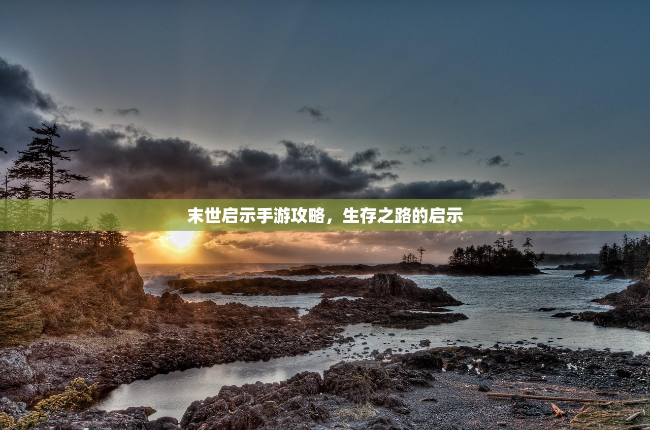 云顶手游突然无法访问的困扰与解决之道