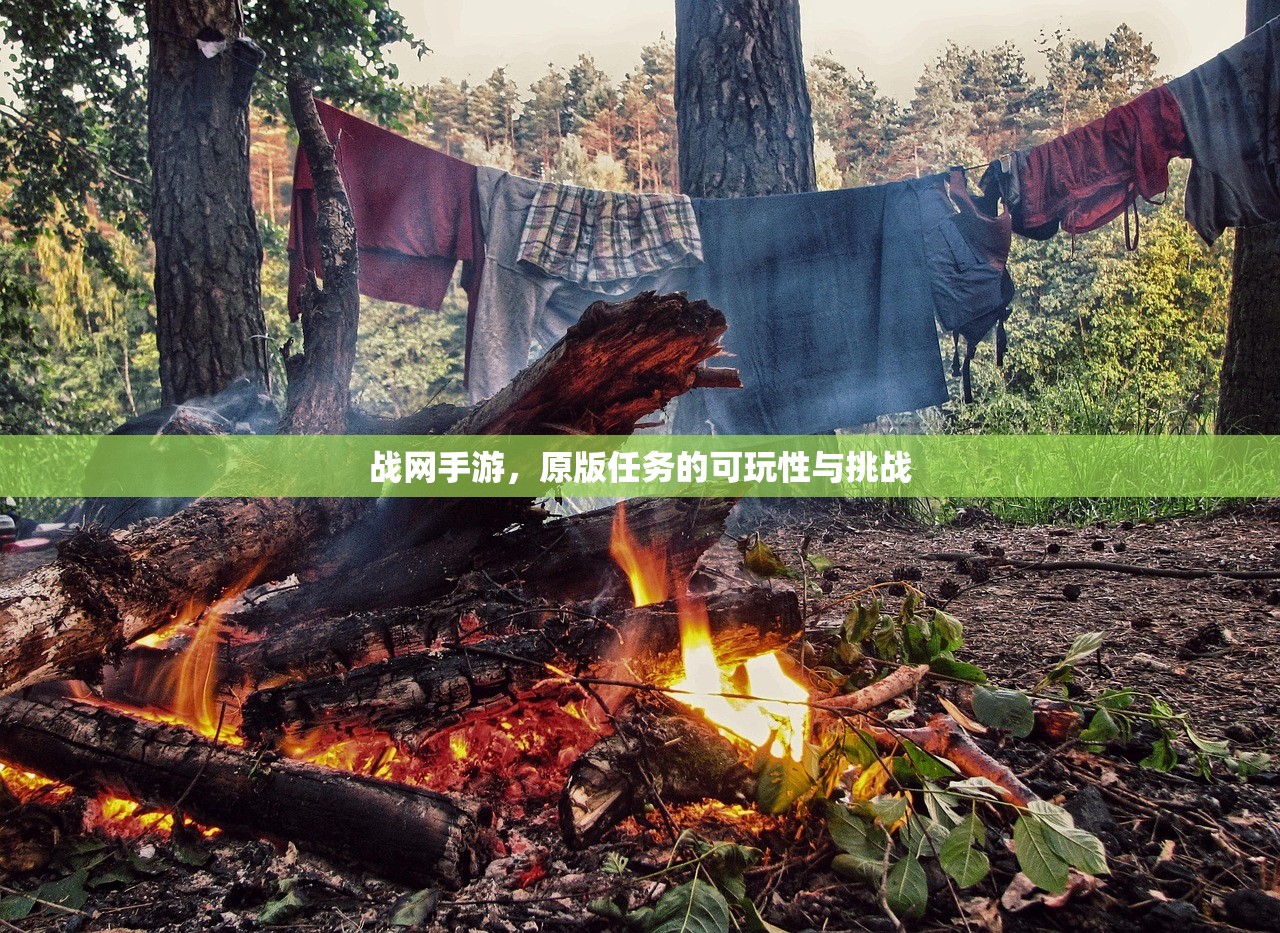 云顶手游突然无法访问的困扰与解决之道