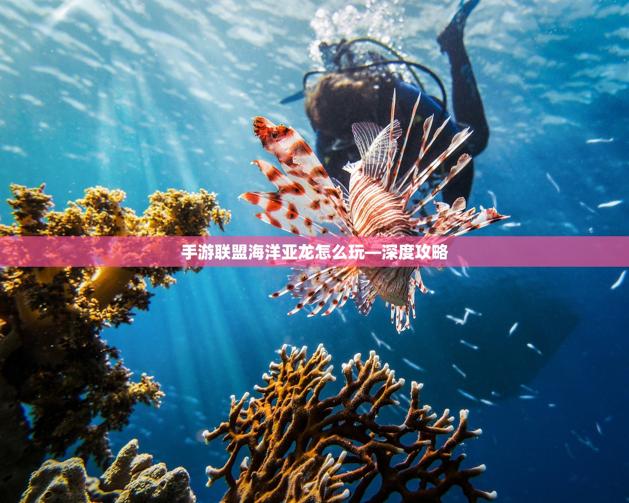 手游联盟海洋亚龙怎么玩—深度攻略