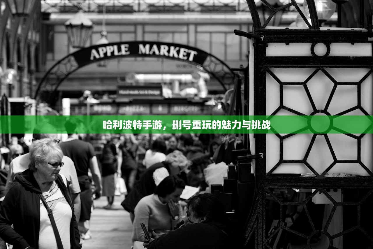 哈利波特手游，删号重玩的魅力与挑战