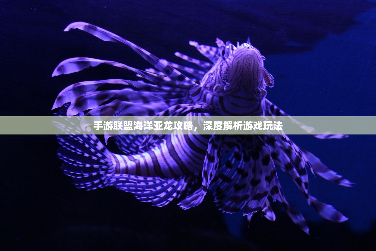 手游联盟海洋亚龙攻略，深度解析游戏玩法