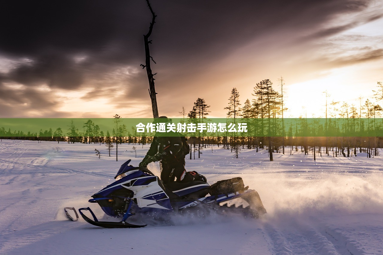 小米10畅玩Apex手游，最佳操作指南