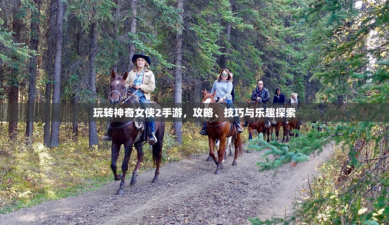 玩转美服手游端游版，深度攻略与技巧