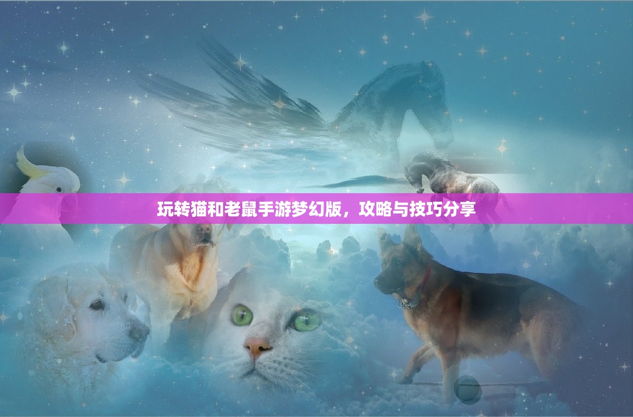 玩转猫和老鼠手游梦幻版，攻略与技巧分享