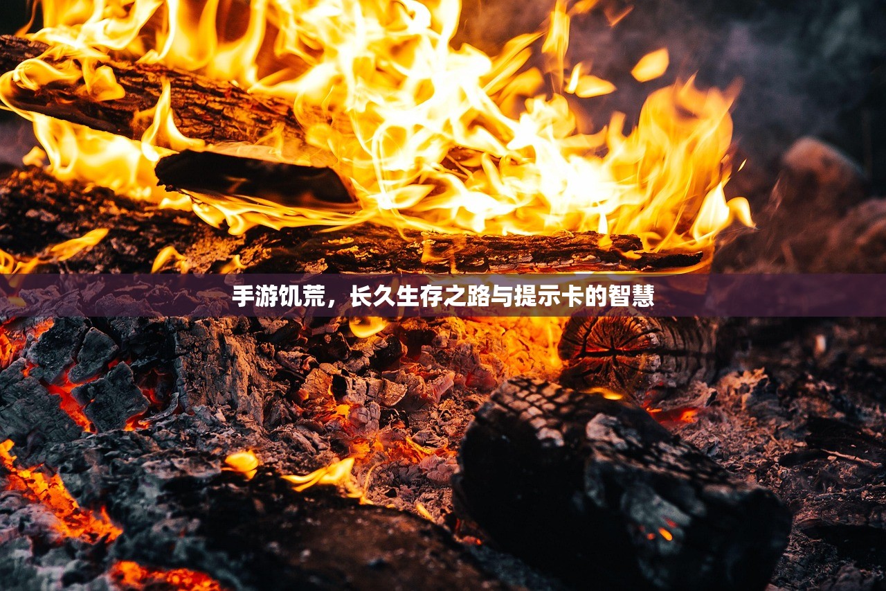 手游饥荒，长久生存之路与提示卡的智慧