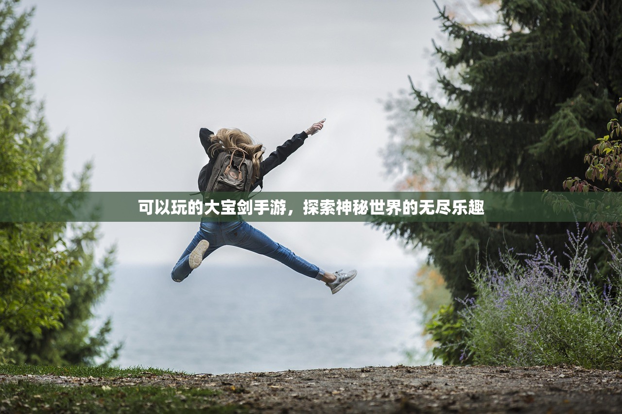 可以玩的大宝剑手游，探索神秘世界的无尽乐趣
