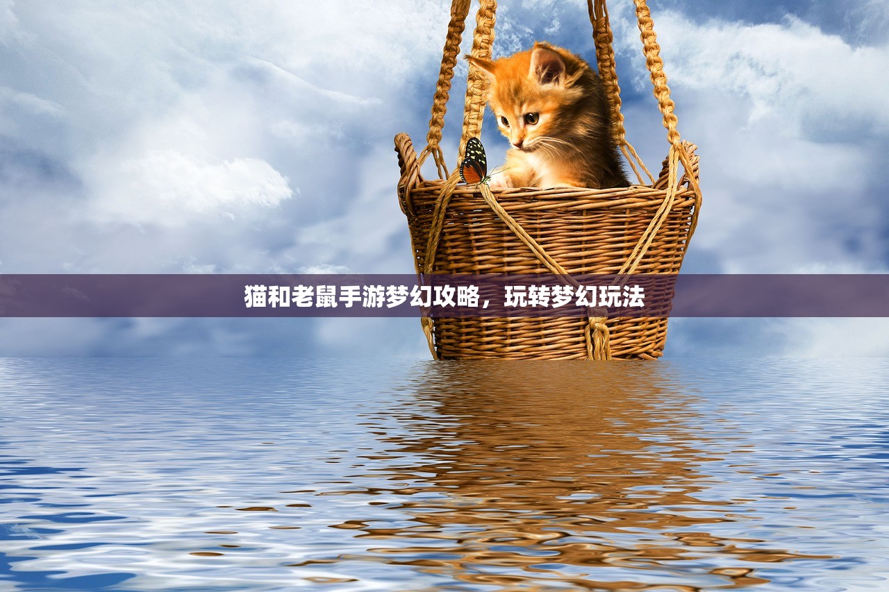 猫和老鼠手游梦幻攻略，玩转梦幻玩法