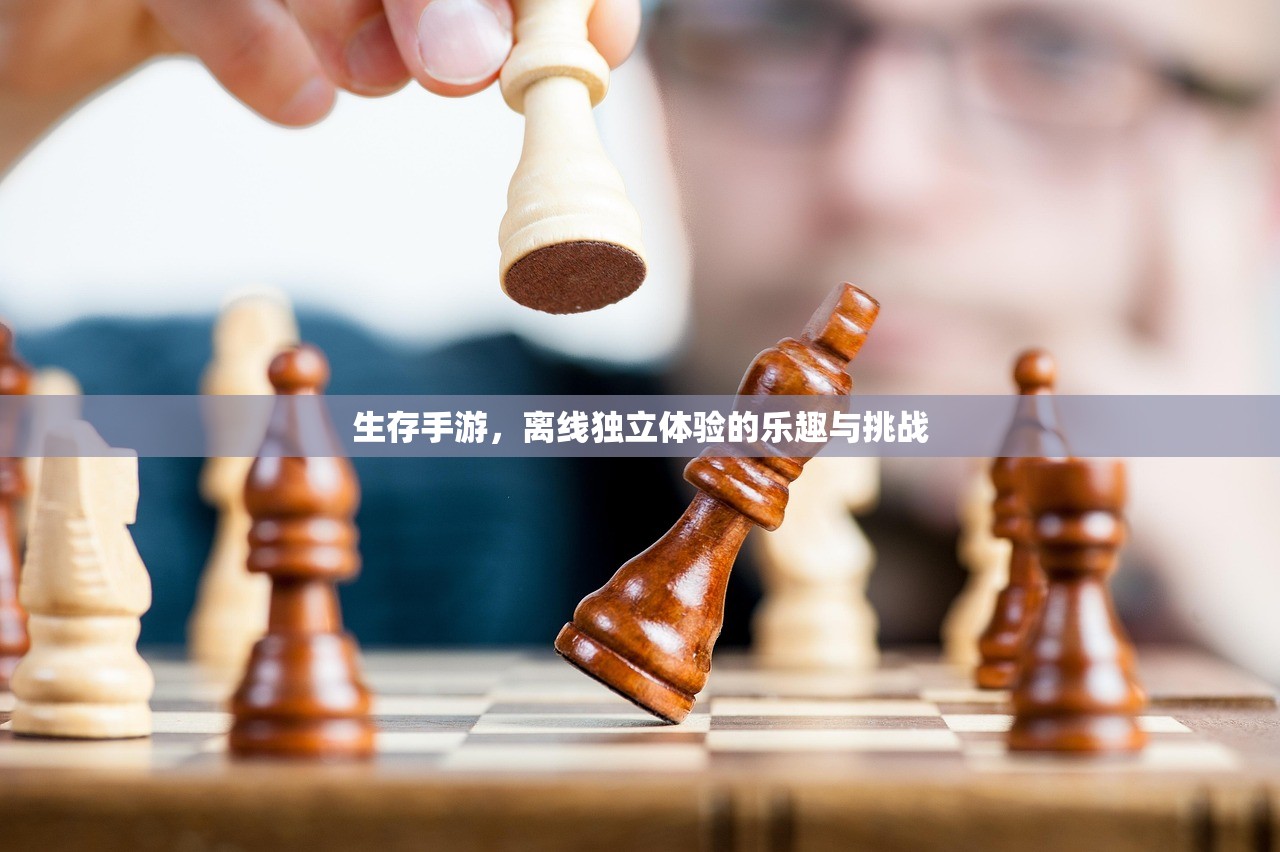 梦幻手游与端游的联动玩法，如何玩转梦幻手游并体验端游魅力