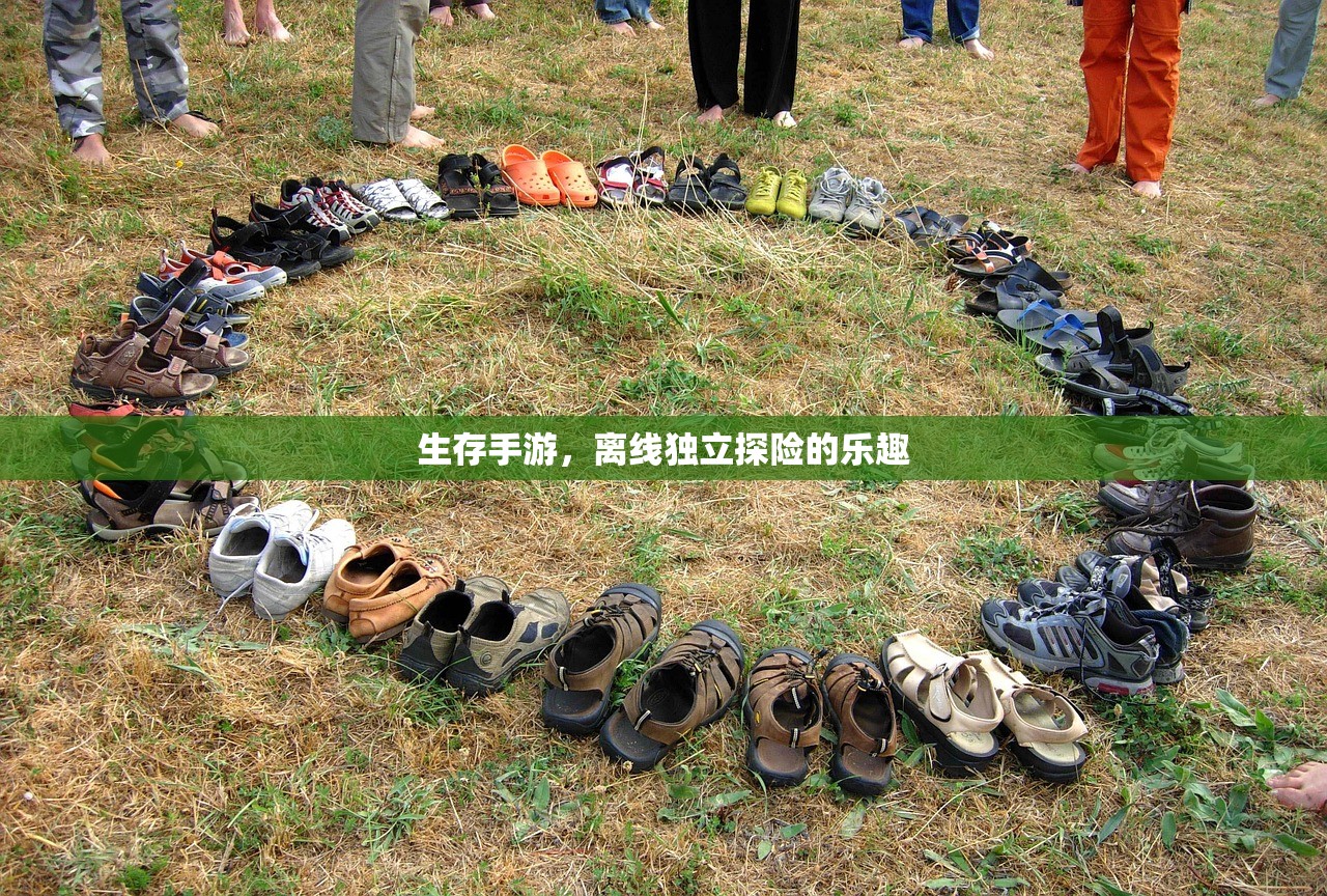 生存手游，离线独立探险的乐趣