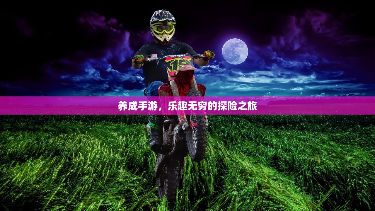 手游剑圣双刀攻略，掌握核心玩法，成为顶尖高手