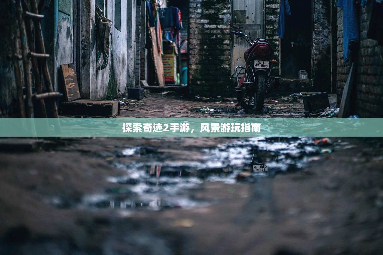 手游英雄联盟鱼人攻略，掌握游戏技巧，轻松上分