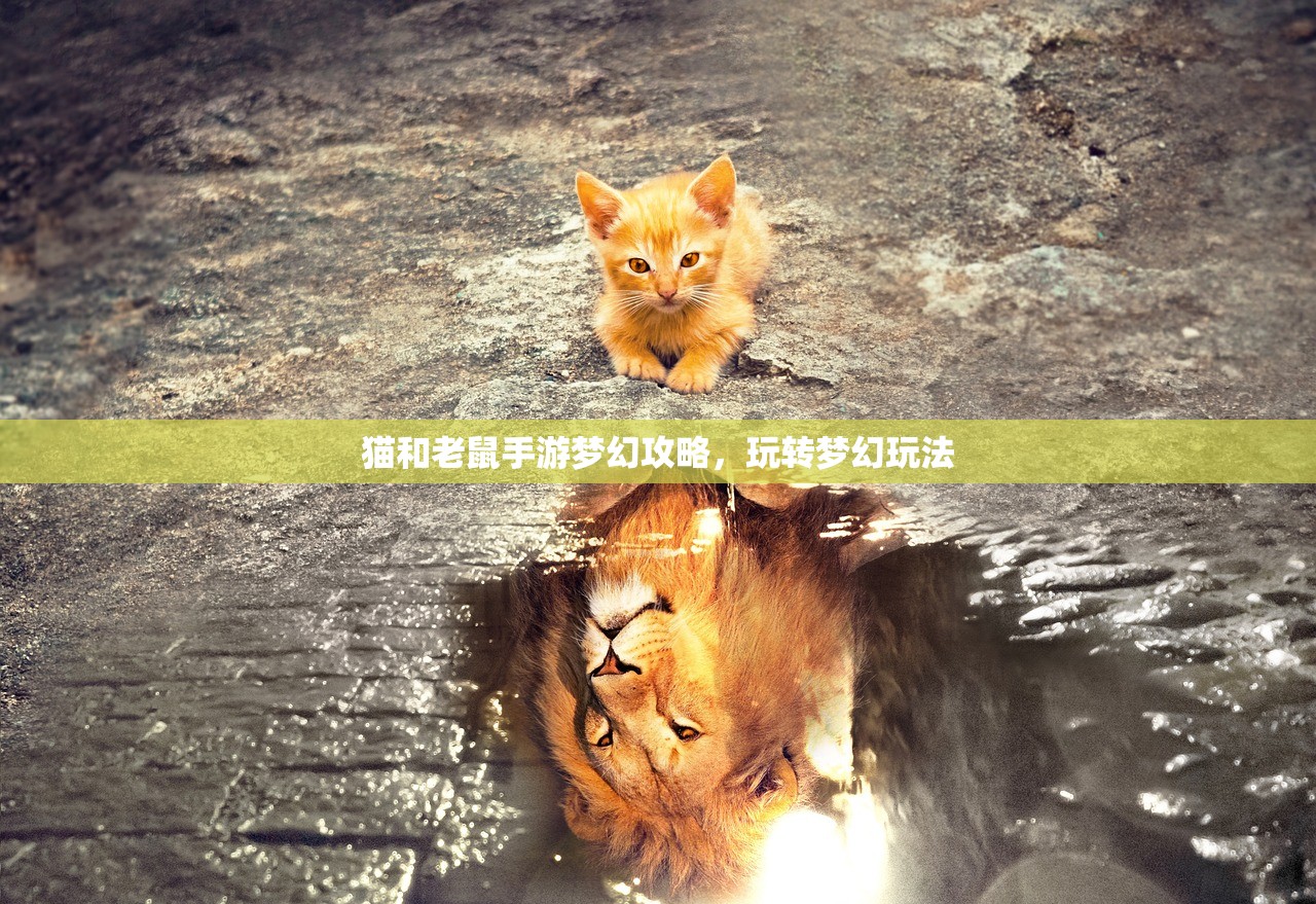 猫和老鼠手游梦幻攻略，玩转梦幻玩法