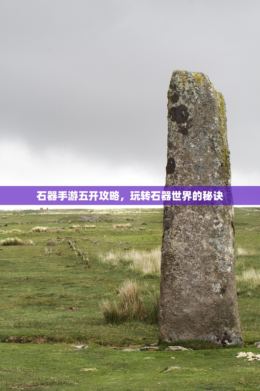 石器手游五开攻略，玩转石器世界的秘诀
