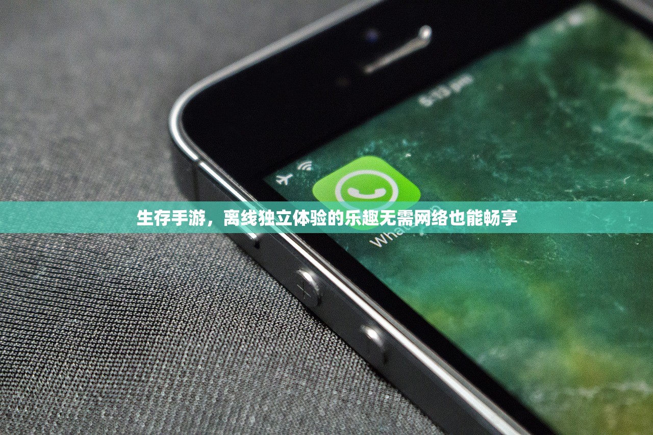 生存手游，离线独立体验的乐趣无需网络也能畅享