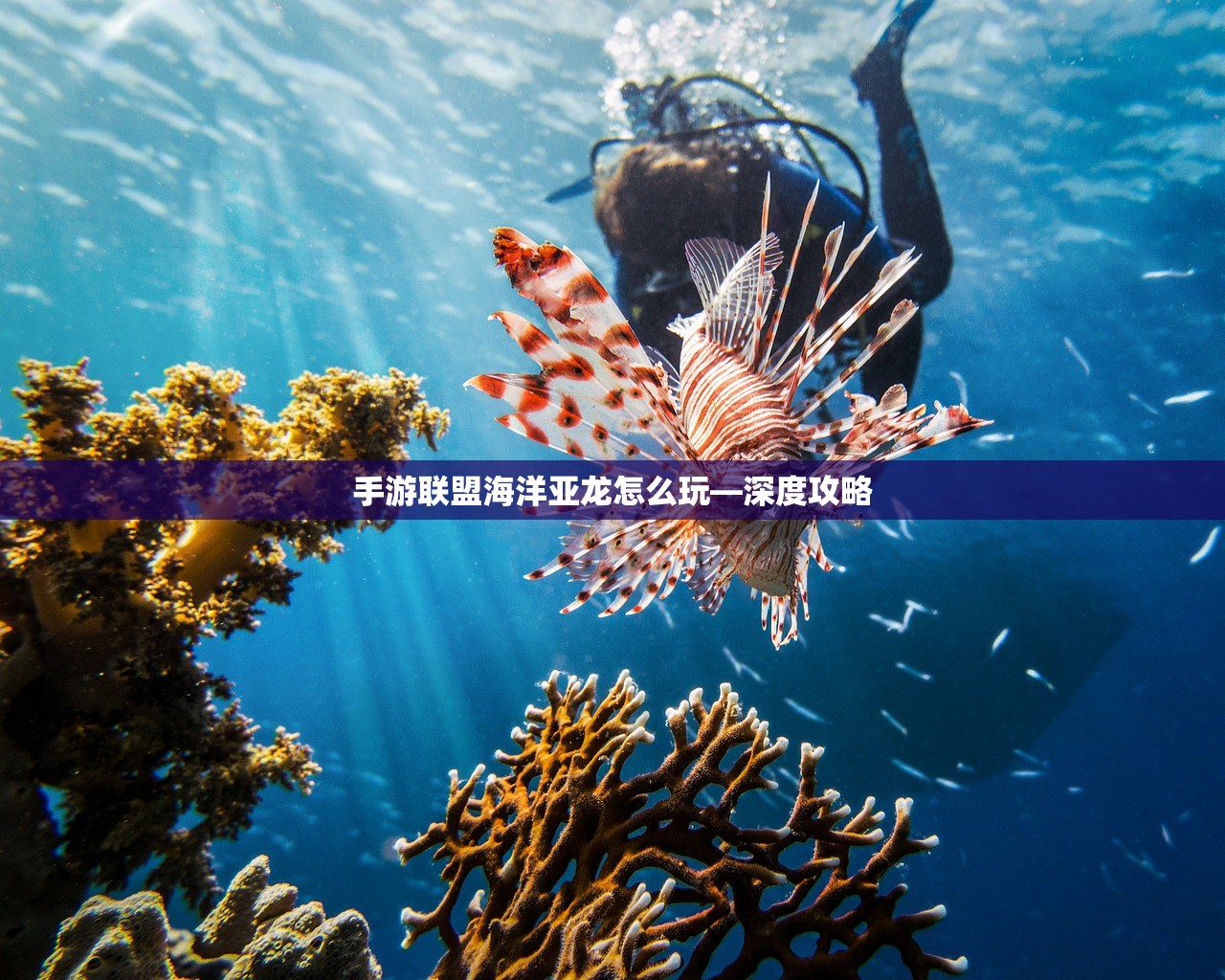 CF手游为什么逐渐失去了玩家群体？探究背后的原因