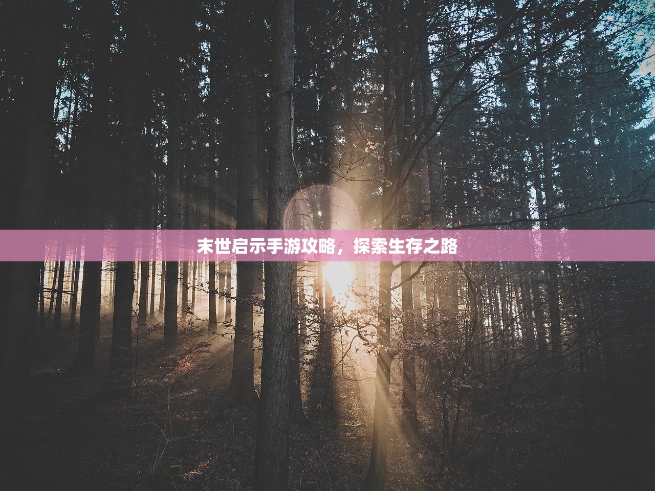 末世启示手游攻略，探索生存之路