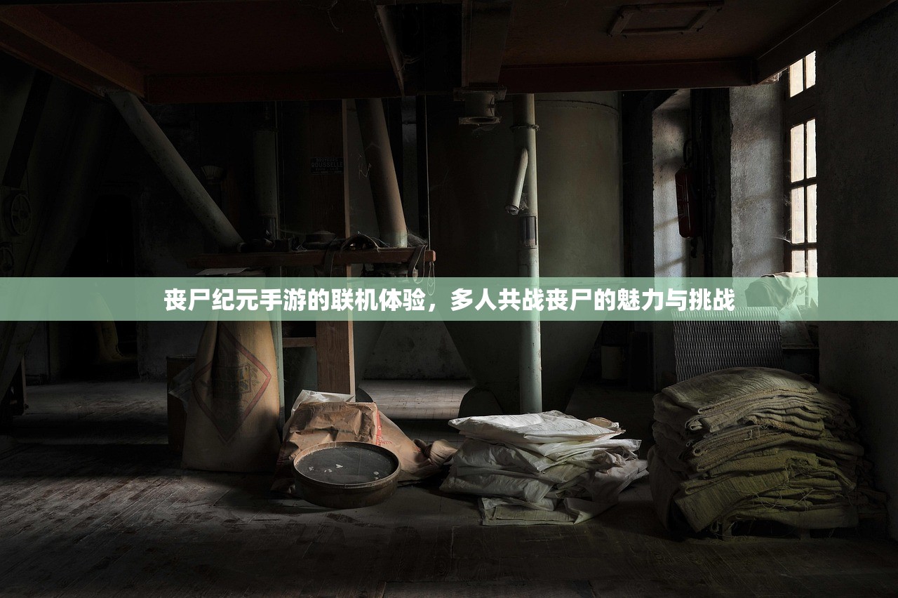 丧尸纪元手游的联机体验，多人共战丧尸的魅力与挑战