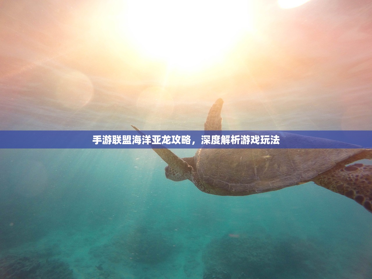 Apex手游攻略，如何安全畅玩Apex手游避免封号