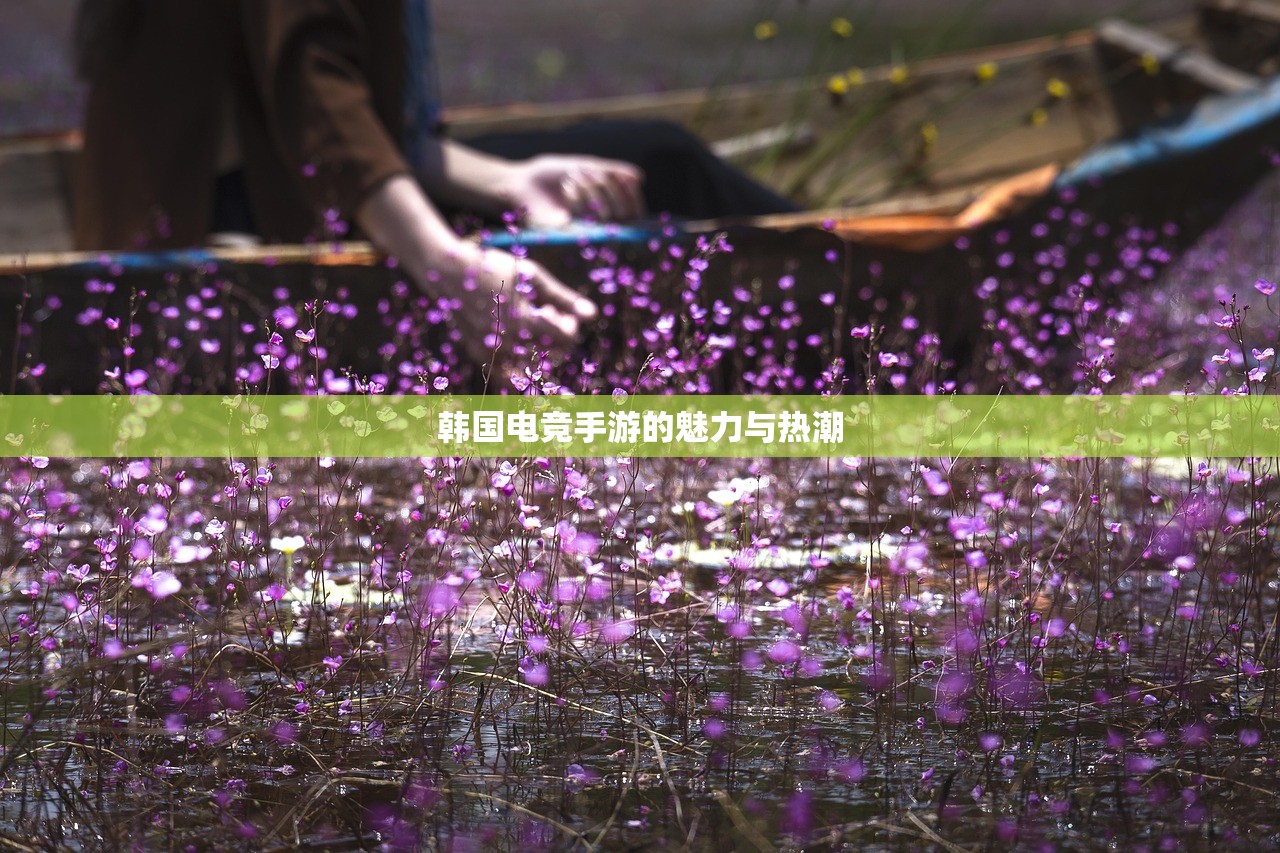 LOL手游新手英雄推荐指南